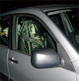 On the Road with Sindy Skinless