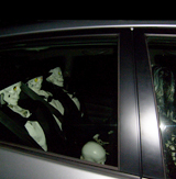 On the road with the Decomposers